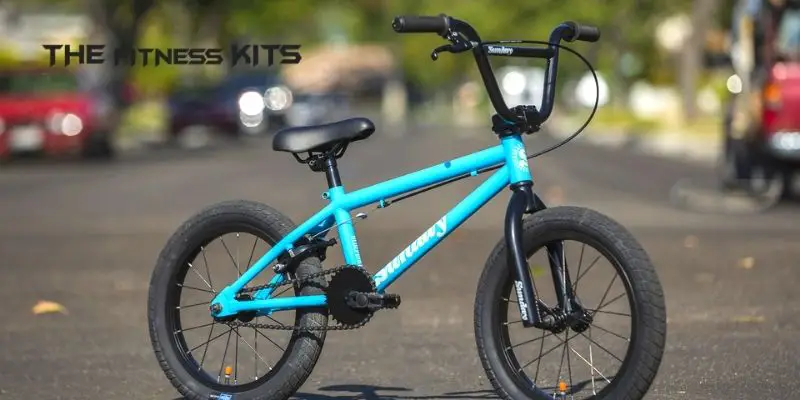 Ultimate Buying Guide to BMX Bike